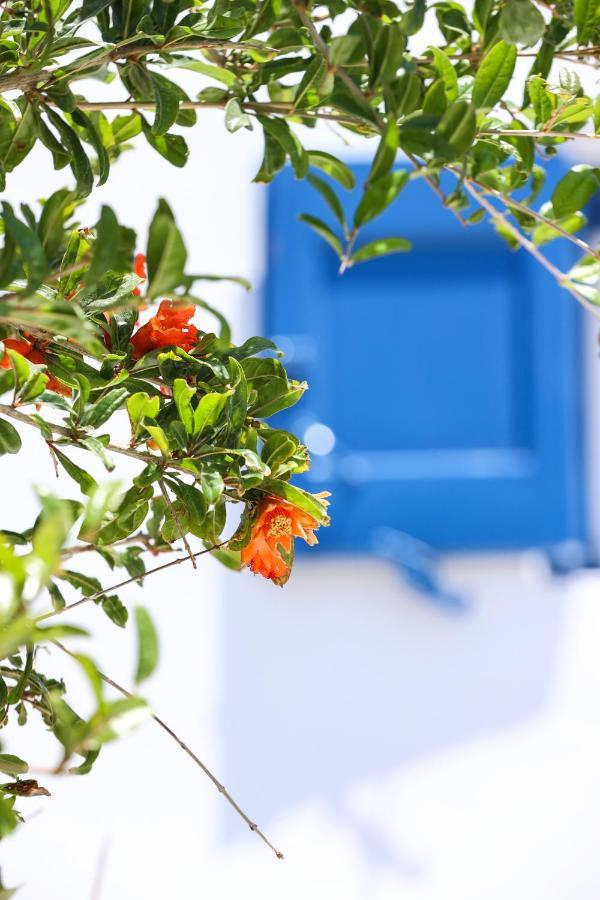 Mykonos In White Villa Mykonos Town Exterior photo